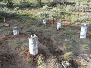 Concrete Piers